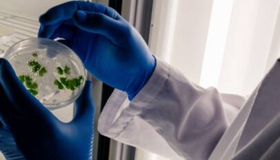 La resistencia bacteriana a los antibióticos, un desafío global con impacto en la salud pública y la agricultura