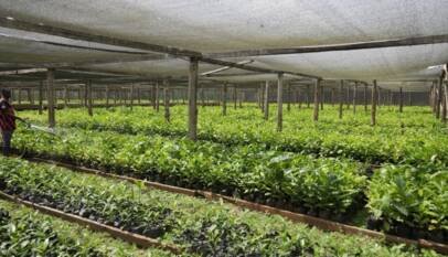 Canadá se blinda ante EE. UU. y apuesta por su autosuficiencia alimentaria