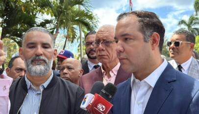 El PLD dice respeta decisión candidaturas independientes