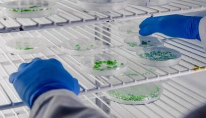 Los antibióticos entran en una nueva era marcada por la biotecnología y la presión de la resistencia bacteriana