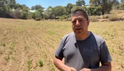 México: agricultores defienden el maíz nativo frente a los transgénicos México: agricultores defienden el maíz nativo frente a los transgénicos