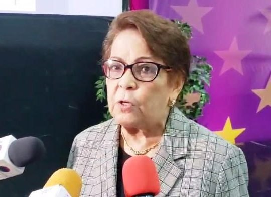 Partido opositor en RD expresa preocupación por feminicidios imagen
