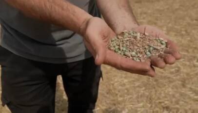Ucrania acusa a Israel de permitir ingreso de «grano robado» por Rusia Ucrania acusa a Israel de permitir ingreso de «grano robado» por Rusia
