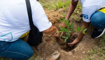 Voluntariado Popular del Banco Popular reforesta junto a periodistas y comunicadores de la Zona Norte