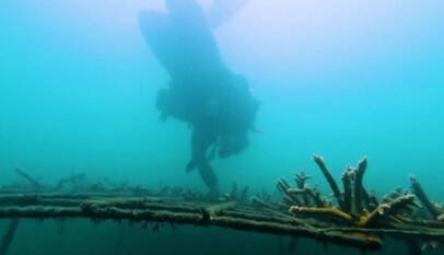 Colombia: antiguos pescadores se dedican a la restauración de corales