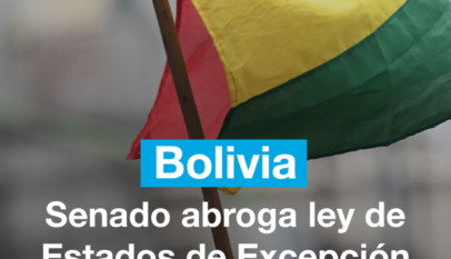 Diputados debaten la abrogación de la ley que limita el uso de las fuerzas de seguridad en Bolivia