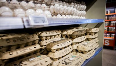 El consumo de huevos se asocia a un menor riesgo de Alzheimer El consumo de huevos se asocia a un menor riesgo de Alzheimer