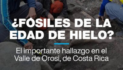 ¿Fósiles de la Edad de hielo? El importante hallazgo en Costa Rica