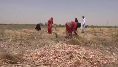 Guerra, clima y cierre de Ormuz profundizan la crisis alimentaria en Sudán