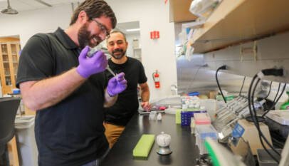 Investigadores descubren nuevo modo de estudiar proteínas que pudiera llevar a nuevos tratamientos para afecciones del sistema inmunitario