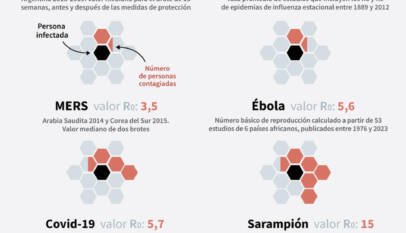 La OMS confirma ocho casos del virus de los Andes, el único hantavirus conocido por transmitirse entre humanos