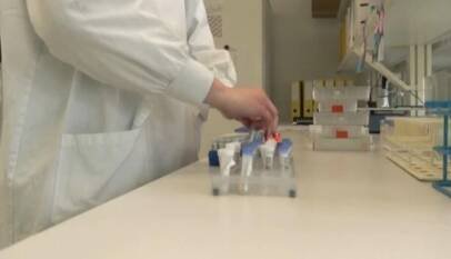 OMS intenta tranquilizar a la comunidad internacional sobre contagios de hantavirus