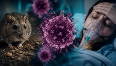 OPS ratifica la cooperación técnica y el intercambio de información ante casos de hantavirus OPS ratifica la cooperación técnica y el intercambio de información ante casos de hantavirus