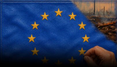 ¿Por qué la UE quiere excluir el cuero de su ley contra la deforestación?