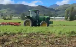 Productores de Constanza enfrentan pérdidas por bajos precios agrícolas Productores de Constanza enfrentan pérdidas por bajos precios agrícolas