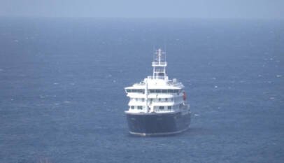 ¿Qué es el hantavirus y cómo se transmite?: claves del brote en un crucero que deja al menos tres muertos