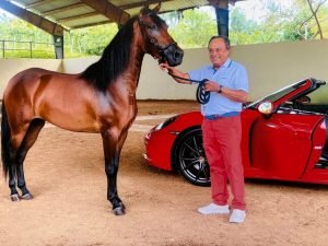 Afamado montador caballos de paso fino imparte charla-taller Afamado montador caballos de paso fino imparte charla-taller