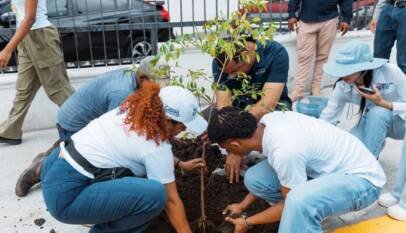 Alcaldía del DN celebra Día Mundial del Medio Ambiente con siembra de árboles y limpieza en playa Güibia Alcaldía del DN celebra Día Mundial del Medio Ambiente con siembra de árboles y limpieza en playa Güibia