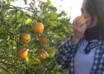 Beber zumo de naranja desde niño eleva un 20% el riesgo de hipertensión, según estudio longitudinal