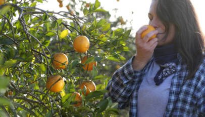 Beber zumo de naranja desde niño eleva un 20% el riesgo de hipertensión, según estudio longitudinal