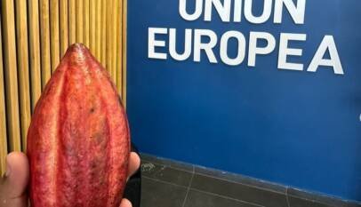 Cacao dominicano con nuevos requisitos de calidad de la UE