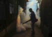 “Control absoluto”: Reportan cero casos de dengue, malaria, cólera y leptospirosis en una semana clave