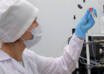 El exceso de azúcar activa una señal inmune que modifica el ritmo del crecimiento
