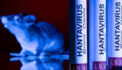 Hantavirus, ébola y covid: ¿por qué aumentan los virus que saltan de animales a humanos?