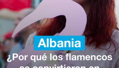 ¿Por qué los flamencos se convirtieron en símbolo de las protestas en Albania?