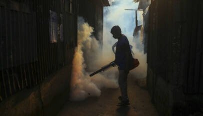 Qué hay detrás de la caída de los casos de dengue y malaria en República Dominicana
