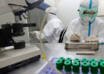 Rusia anuncia el registro este año de su primera vacuna contra el neumococo