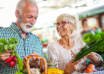 Un estudio plantea una nueva explicación sobre el origen del Alzheimer