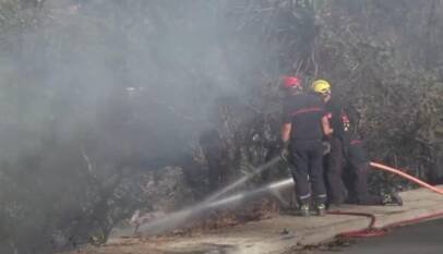 Crisis climática: incendios forestales en Europa y graves inundaciones en Asia