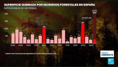 Desde pirocumulonimbos hasta nuevos récords: lo inédito de los incendios en Francia y España Desde pirocumulonimbos hasta nuevos récords: lo inédito de los incendios en Francia y España