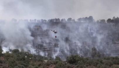 Europa arde: altas temperaturas intensifican los incendios forestales en Francia y España