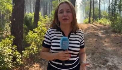 Megaincendio en las Landas de Gascuña: Francia se prepara para cuarta ola de calor