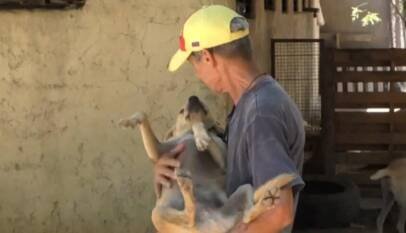 Un refugio rescata a cientos de mascotas tras el doble terremoto en Venezuela Un refugio rescata a cientos de mascotas tras el doble terremoto en Venezuela