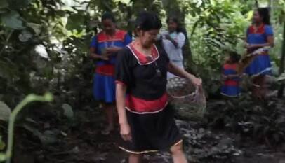 Colombia: fumigación de cultivos genera incertidumbre entre pueblos indígenas del Putumayo