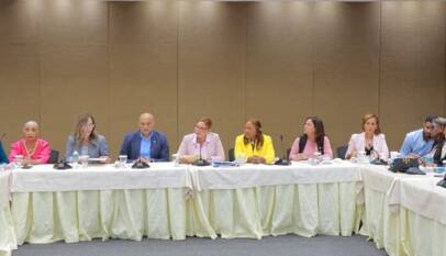 Comisión de Familia CD conversa con miembros de la Fao sobre proyectos de alimentación escolar y agricultura familiar Comisión de Familia CD conversa con miembros de la Fao sobre proyectos de alimentación escolar y agricultura familiar