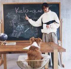 Cómo convertirse en papá perruno cambió la vida de Danny Ocean: ‘Kelo es la luz de la casa’ Cómo convertirse en papá perruno cambió la vida de Danny Ocean: ‘Kelo es la luz de la casa’