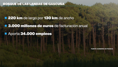Europa calcula el costo de una temporada de incendios extremos
