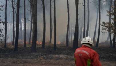 George Clooney y su familia evacúan su casa en Francia debido a los incendios forestales George Clooney y su familia evacúan su casa en Francia debido a los incendios forestales
