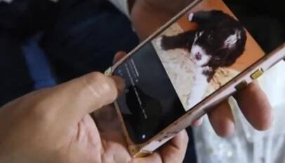 Historias del terremoto en Colombia: abogada murió protegiendo a su perro