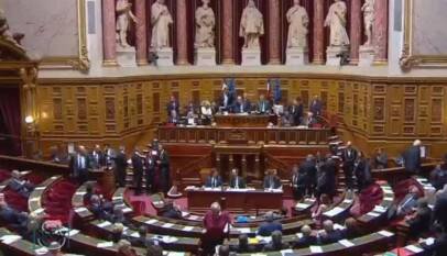 Francia: Agrupación Nacional logra formar por primera vez un grupo en el Senado Francia: Agrupación Nacional logra formar por primera vez un grupo en el Senado