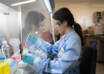 Fármaco experimental reduce un 67 % el riesgo de progresión del cáncer de huesos en ensayo clínico